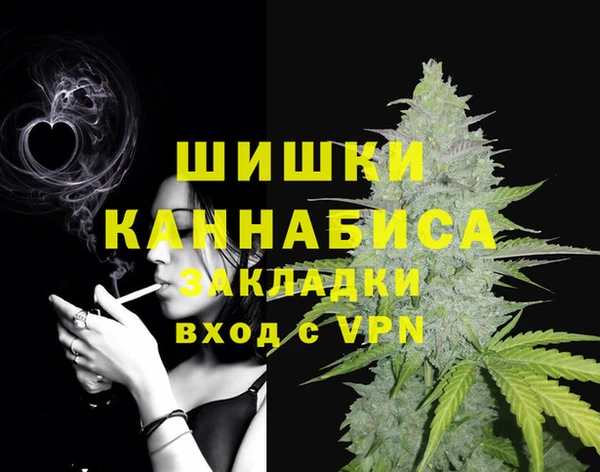 ПСИЛОЦИБИНОВЫЕ ГРИБЫ Осташков