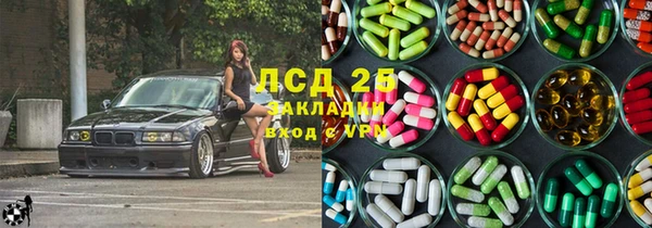 ПСИЛОЦИБИНОВЫЕ ГРИБЫ Осташков
