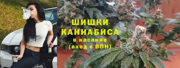 крисы Армянск
