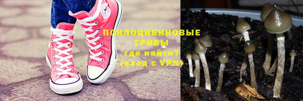 ПСИЛОЦИБИНОВЫЕ ГРИБЫ Осташков
