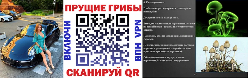 Галлюциногенные грибы GOLDEN TEACHER  Горнозаводск 